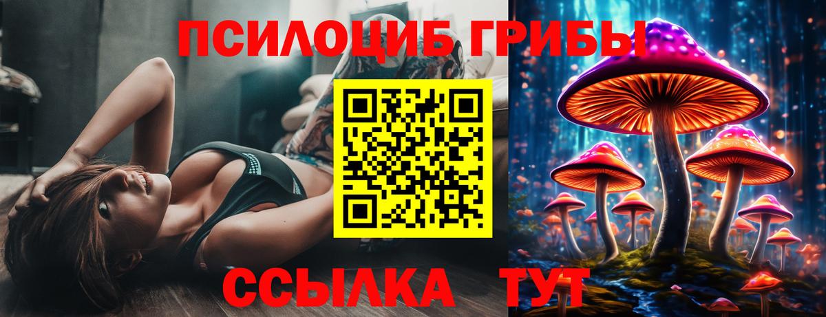 КОКАИН  Кокаин  Меф   Экстази  Полысаево  A PVP СК   Вход с VPN  Бошки Шишки  ГАШИШ  МЕТАМФЕТАМИН 